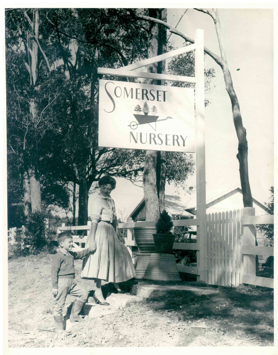 Hemphill Herbs of Dural