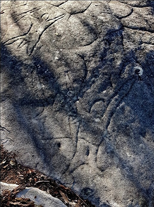 Aboriginal rock engraving - Berowra dancers