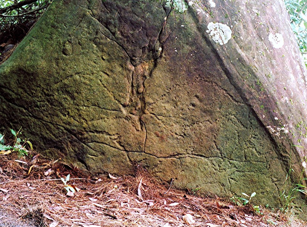 Aboriginal rock engraving - Fish on Berowra Creek
