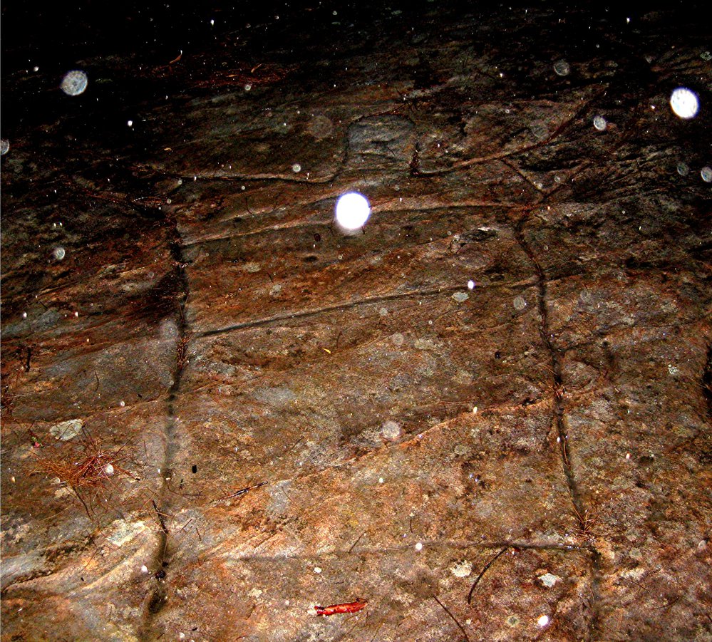 Aboriginal rock engraving - Biamie 