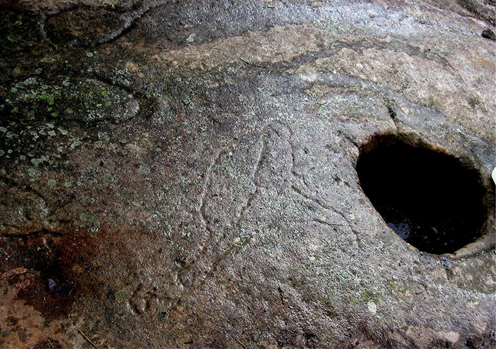 Aboriginal rock engraving - Emu