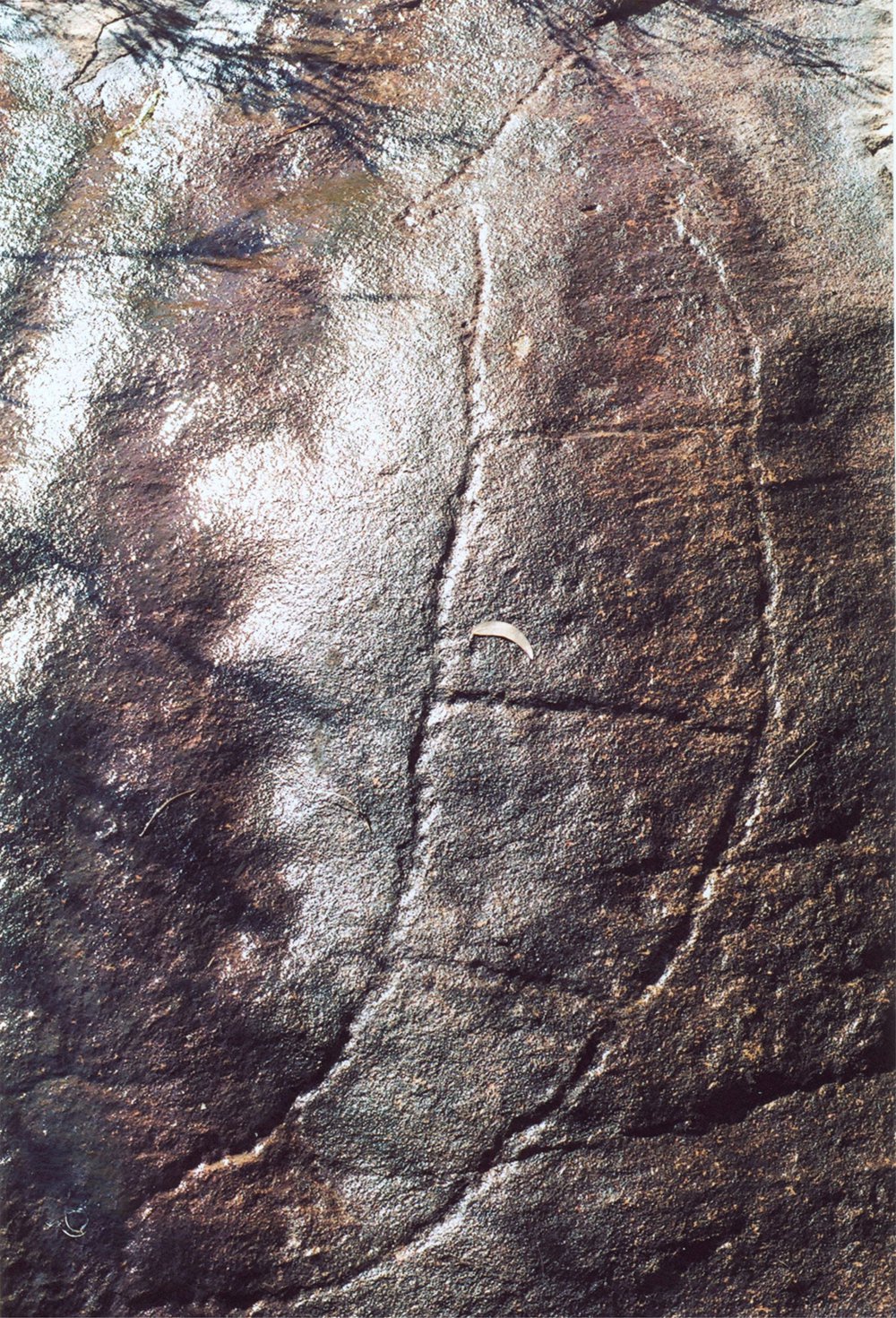 Aboriginal rock engraving - Female Rainbow Serpent