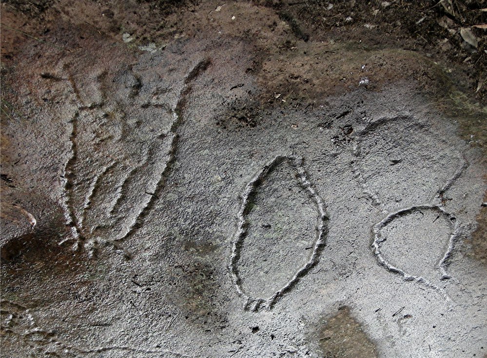 Aboriginal rock engraving - Yams