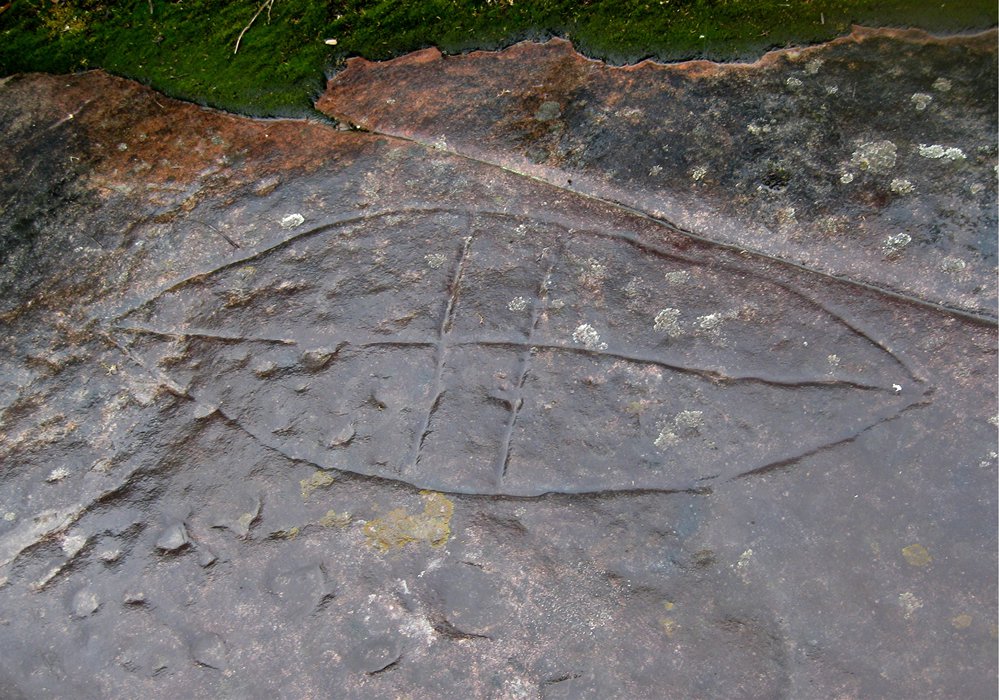 Aboriginal rock engraving - Shield