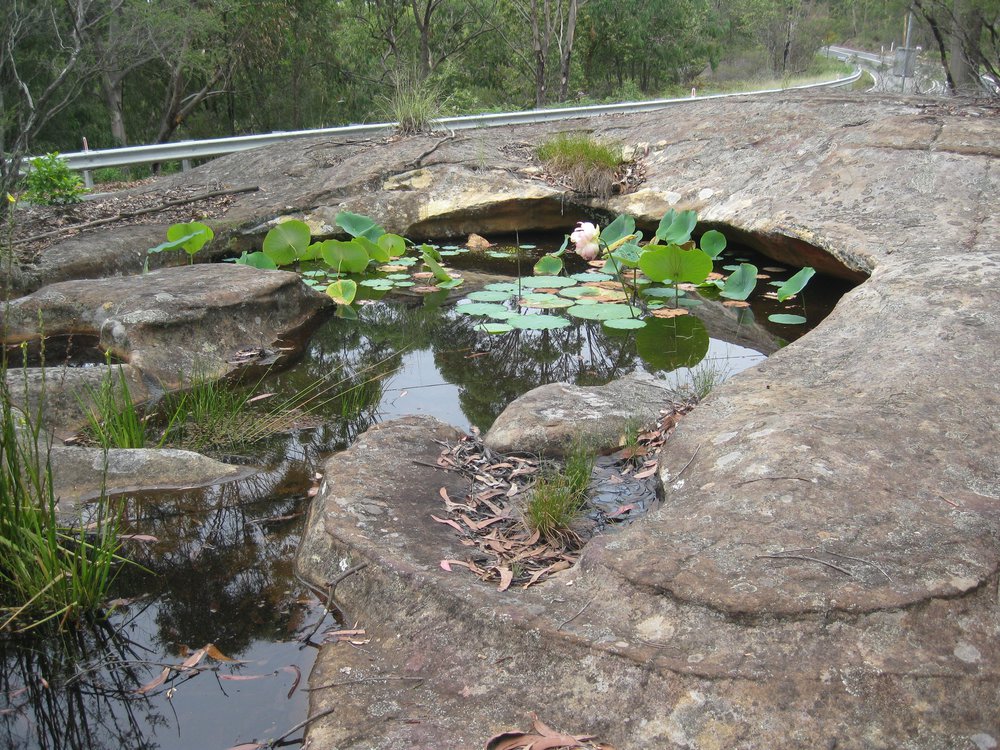 Wisemans Ferry waterhole