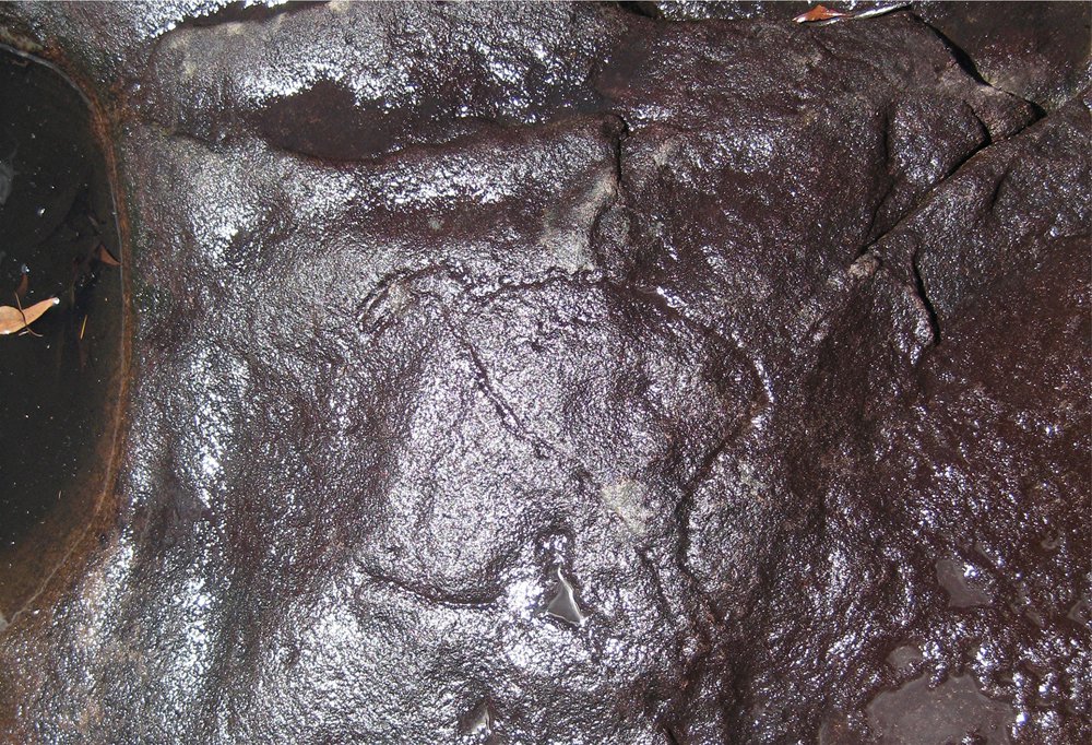 Aboriginal rock engraving - Turkey