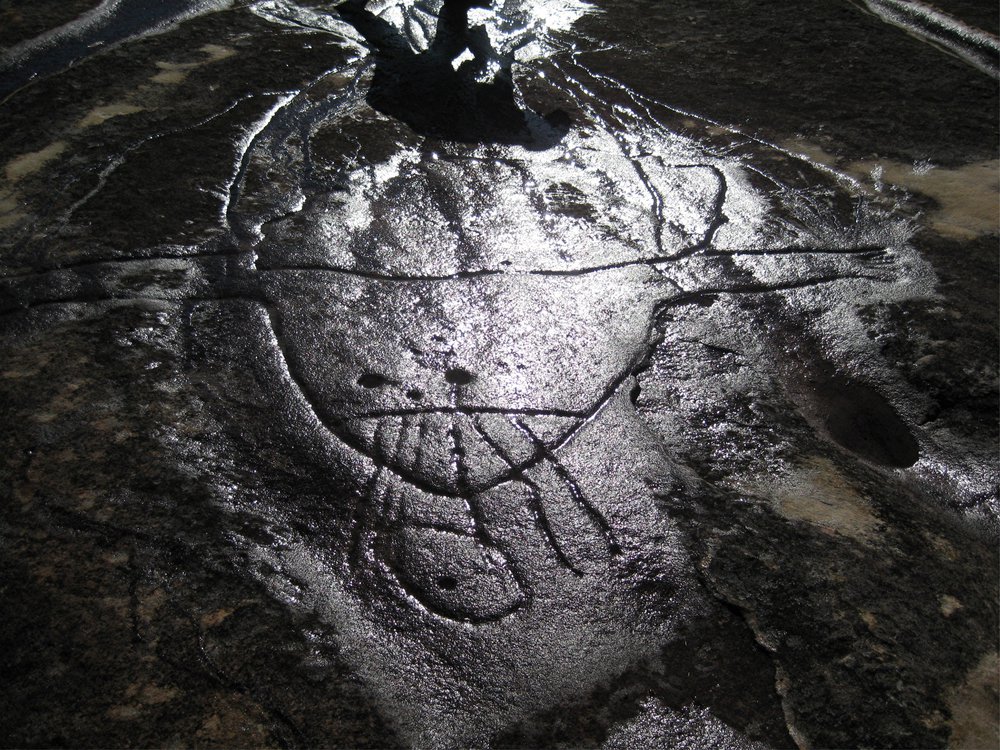Aboriginal rock engraving - Seal