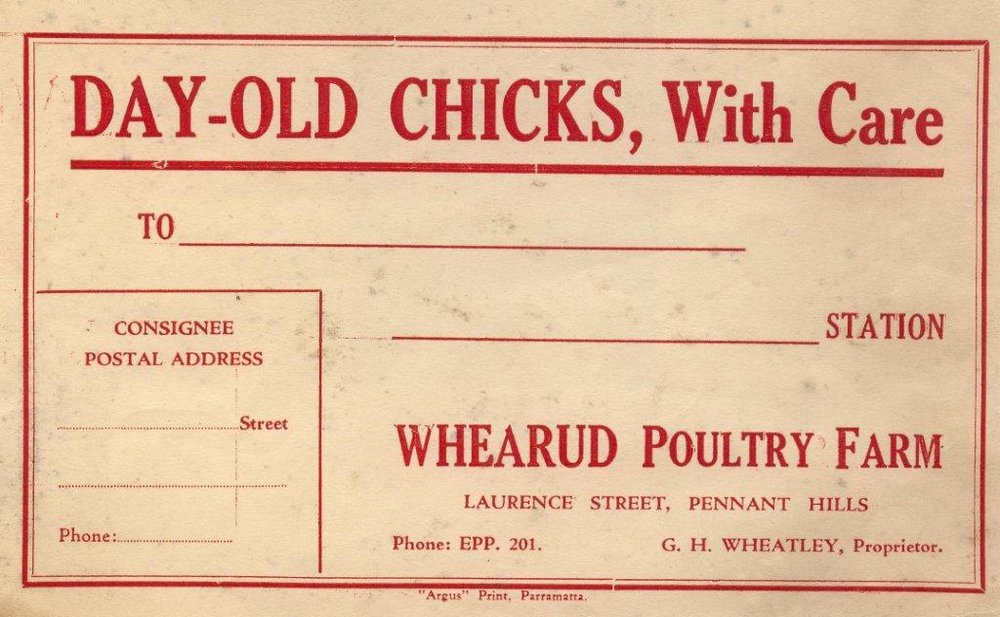 Whearud Poultry Farm, Pennant Hills