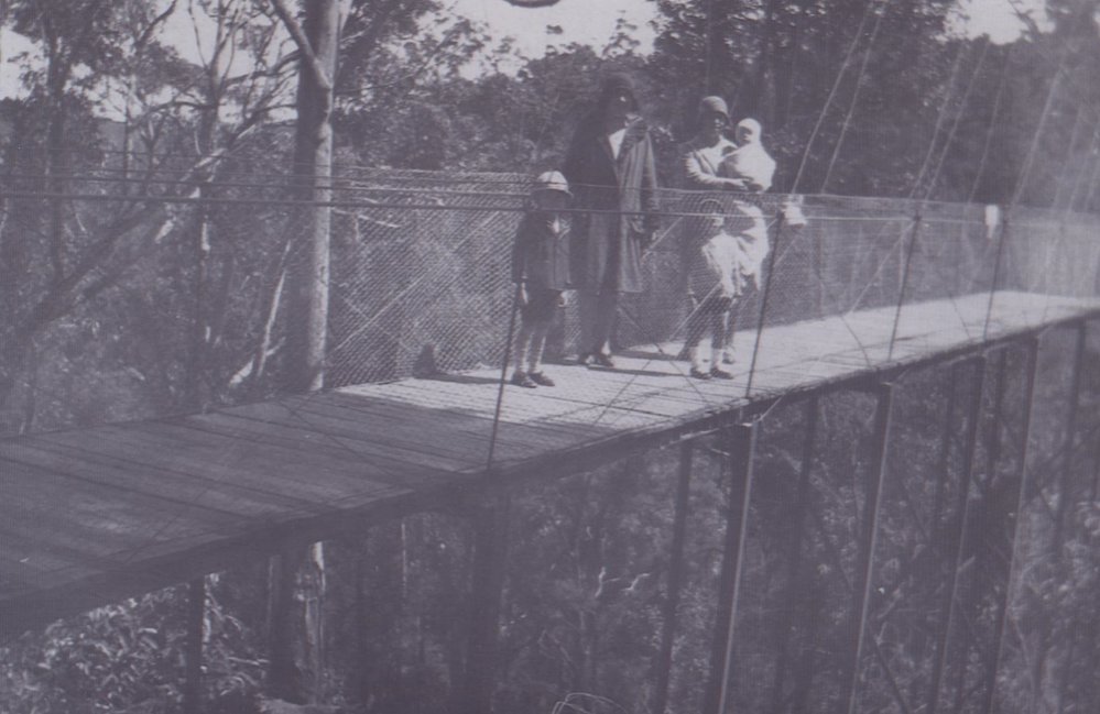 Mt Wilga suspension bridge
