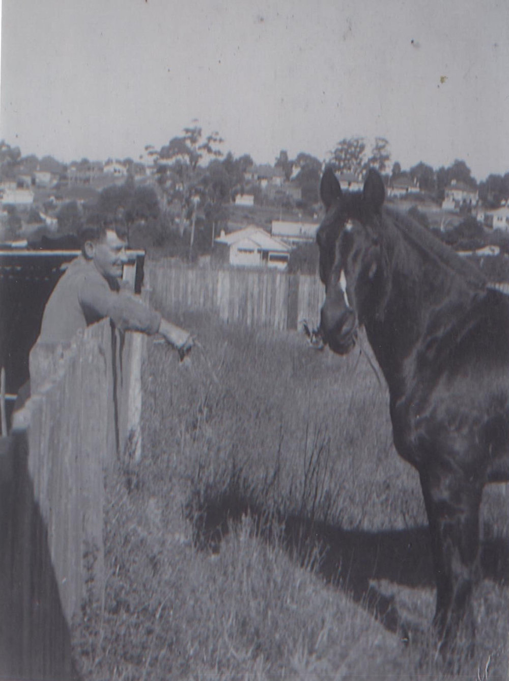 Bill Mowinkle and his horse in a padddock, Denison Street, Hornsby 1960s