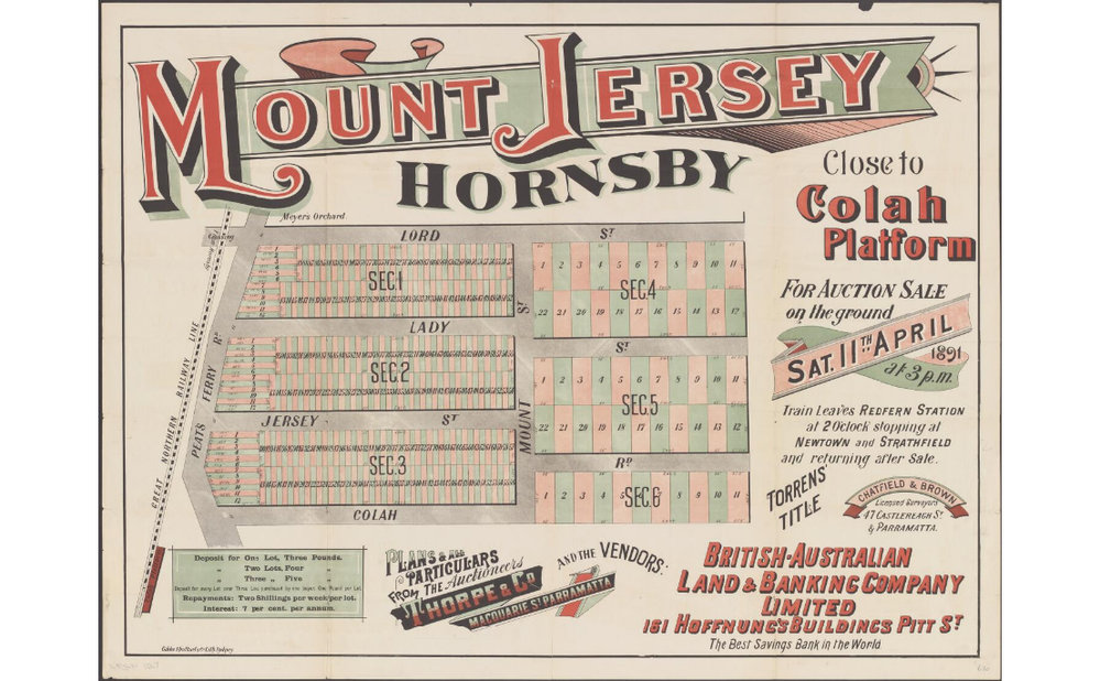 Mount Jersey - Mount Colah