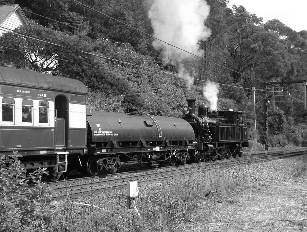 Vintage Locomotive 3112 on Cowan Bank