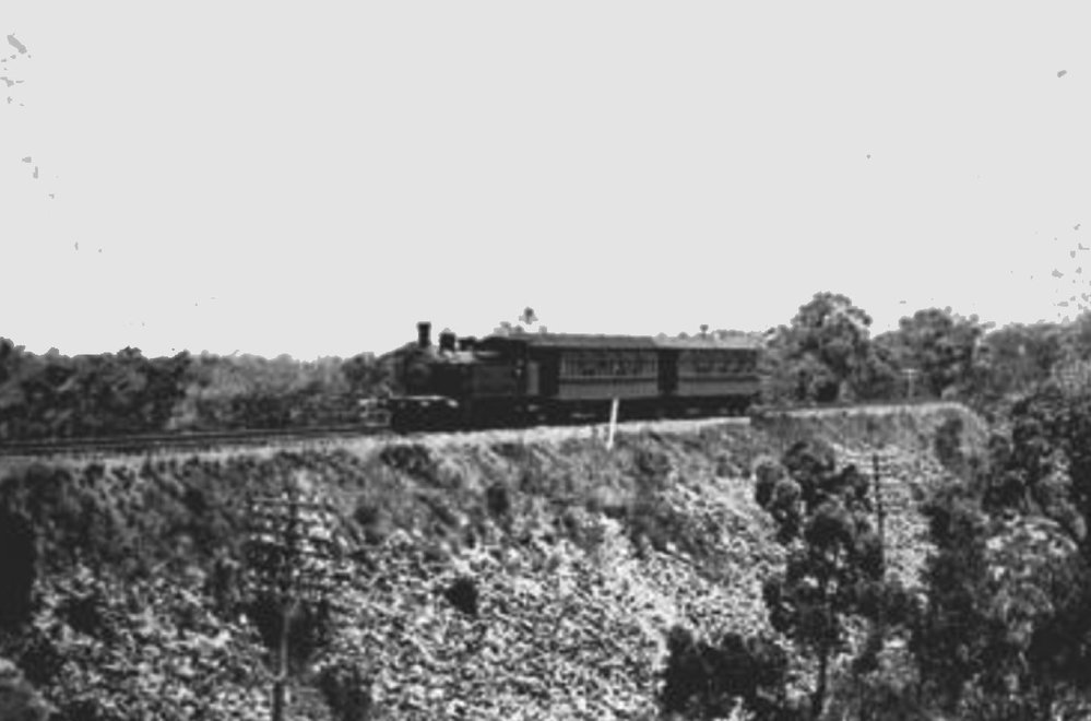 Local steam train, Asquith
