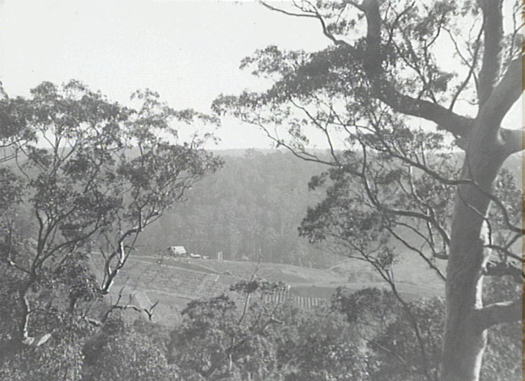 Old Mans Valley, Hornsby