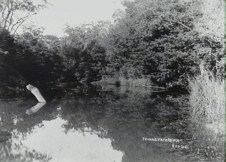 Brown's waterhole, Epping