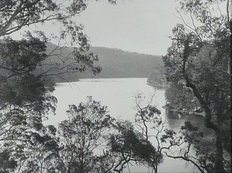 In Ku-ring-gai Bay taken from the pathway above the tanks