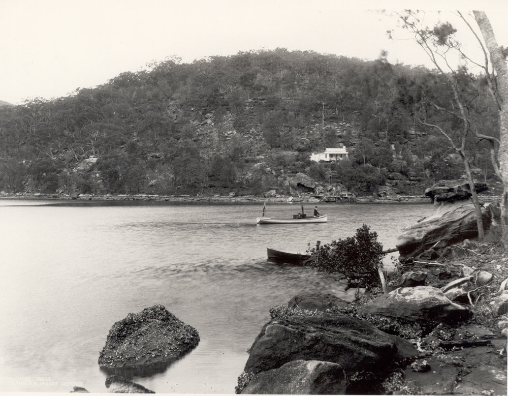 View from opposite Angus and Jacques' cottage