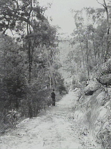 Ku-ring-gai Chase National Park, view of the track leading from Berowra Railway Station