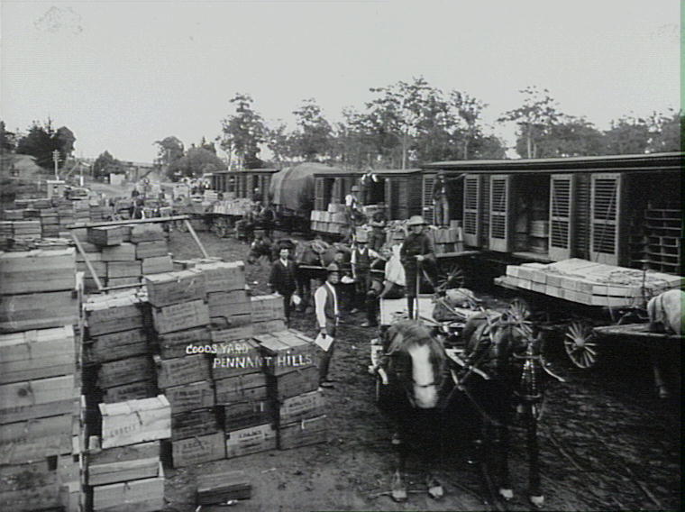Loading fruit, Pennant Hills goods yard