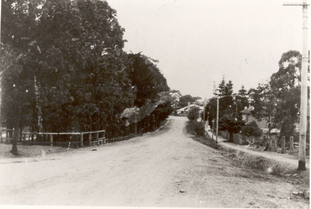 Beecroft Road, Beecroft, looking south from Copeland Road, c.1900