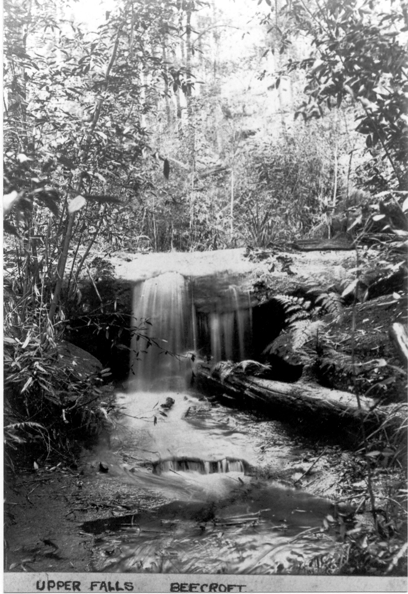 Upper Falls, Beecroft