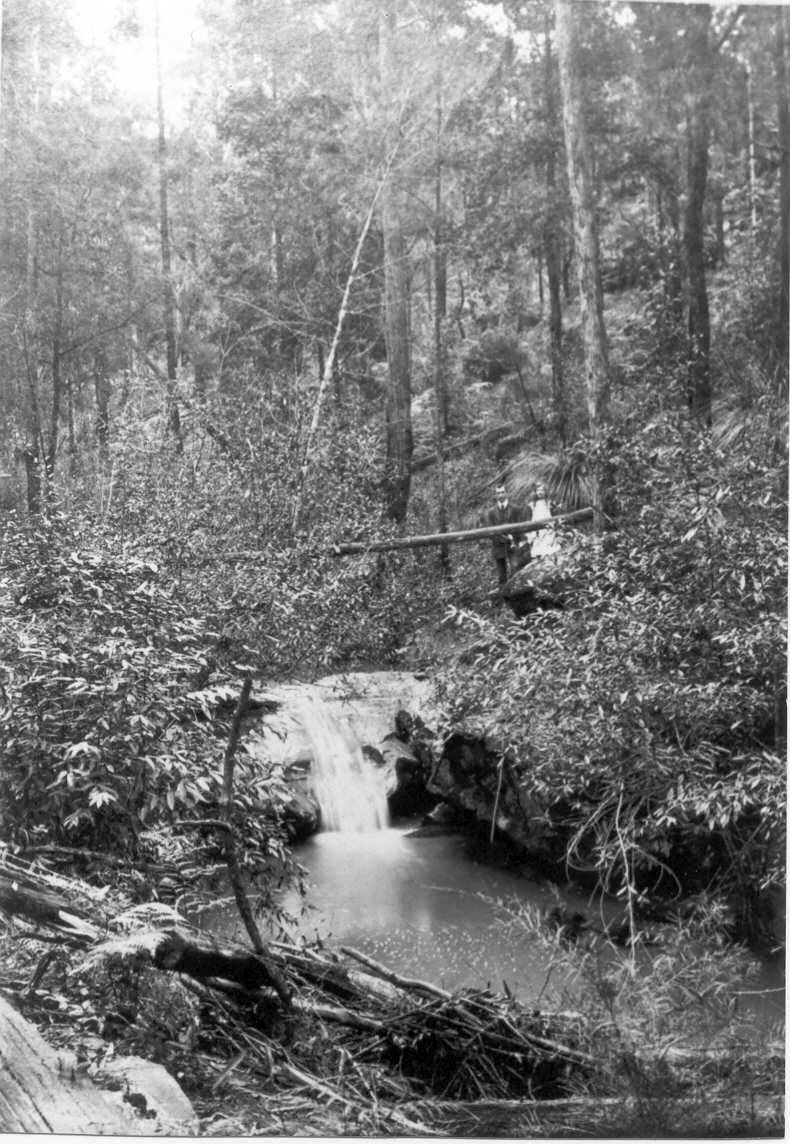 First Fall, Beecroft
