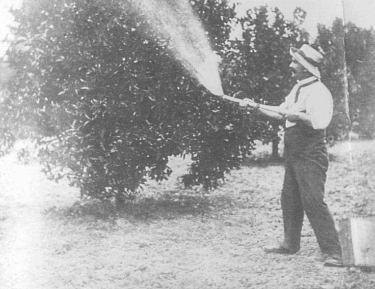 Spraying in Hall's Orchard