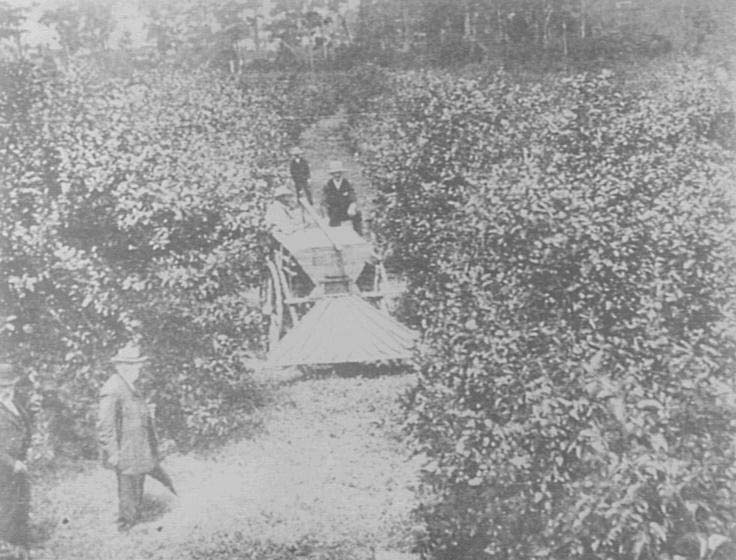 Manure distribution in Hall's Orchard