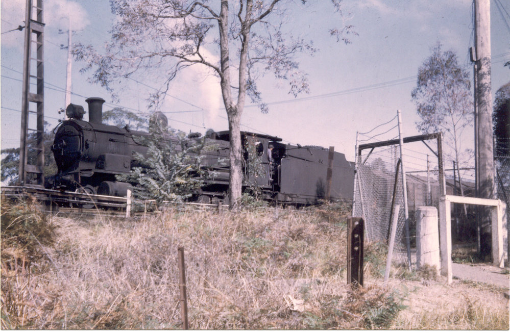Steam train at Goonaroo Siding, Thornleigh