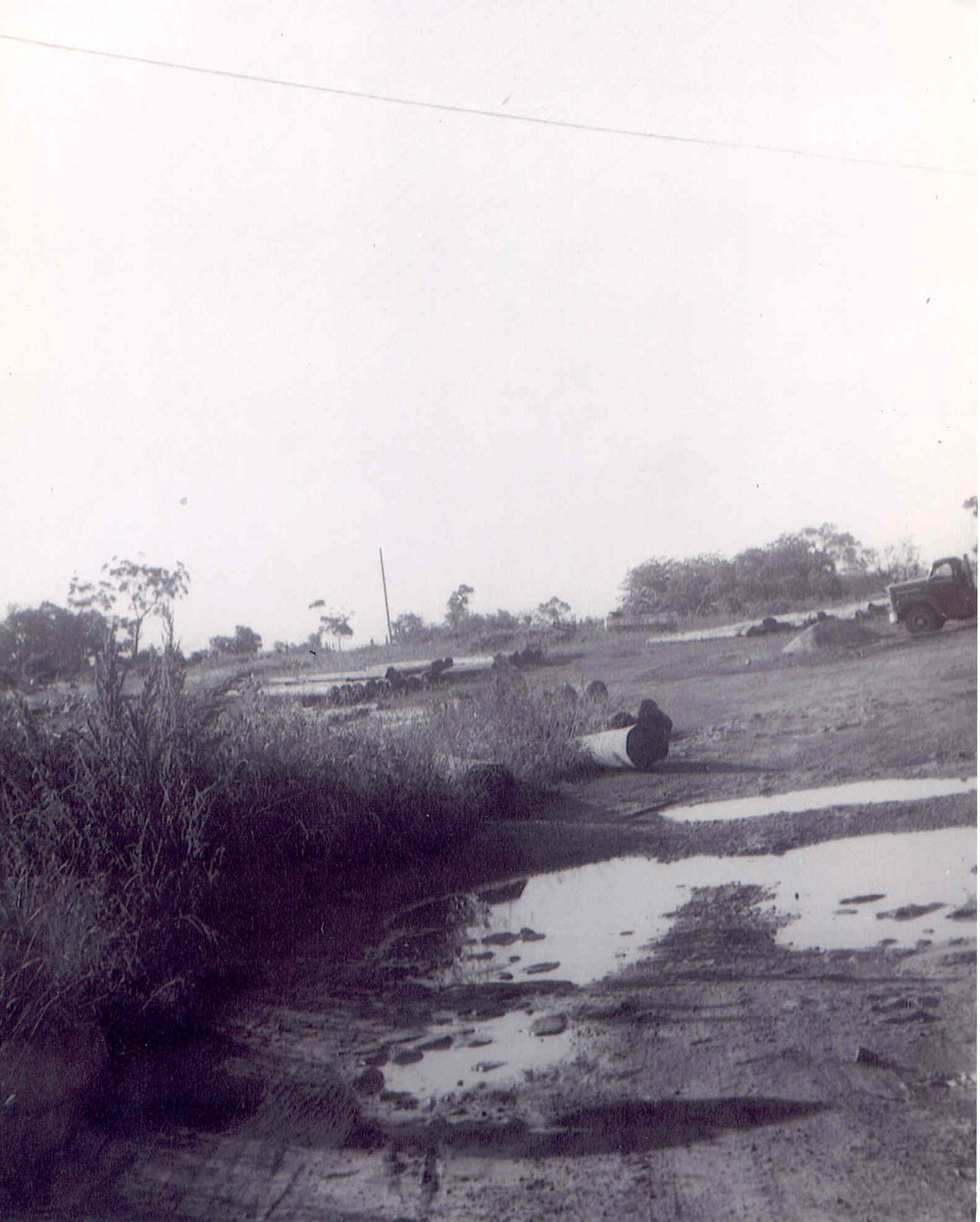 Mitchell and Fernance Timberyard, Duffy Avenue, Thornleigh.