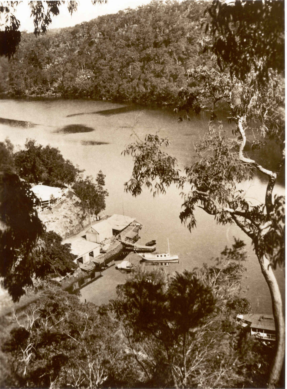 Berowra Waters showing the ferry and Berowra Waters Boatshed