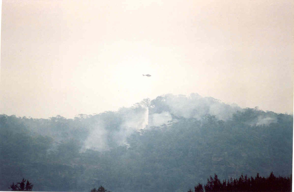 Wisemans Ferry Cemetery during the bushfire of December 2002