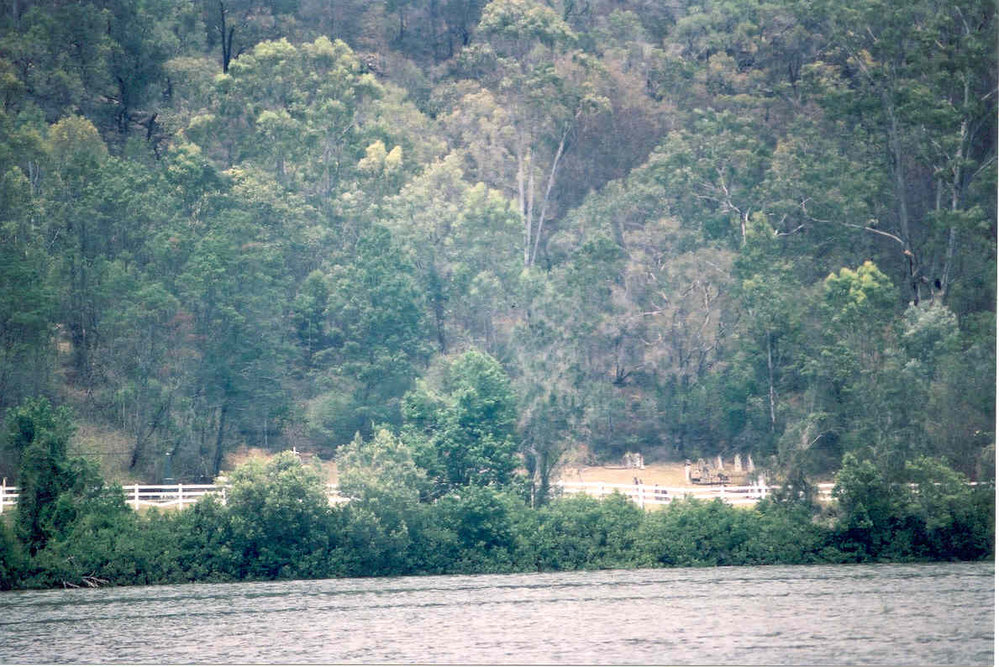 Wisemans Ferry Cemetery after the bushfire, December 2002