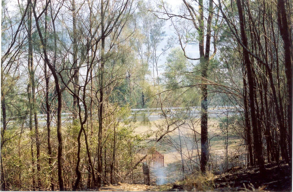Wisemans Ferry Cemetery after the bushfire, December 2002
