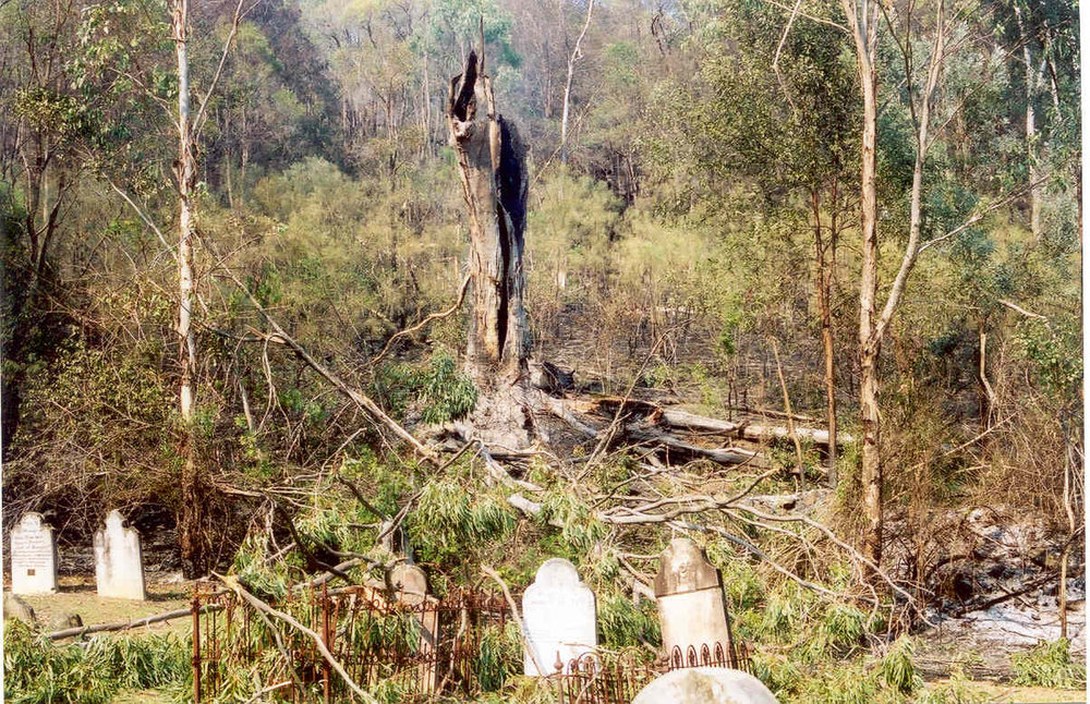 Wisemans Ferry Cemetery after the bushfire, December 2002