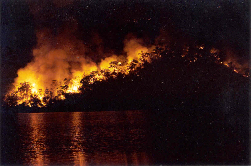 Wisemans Ferry Cemetery during the bushfire of December 2002