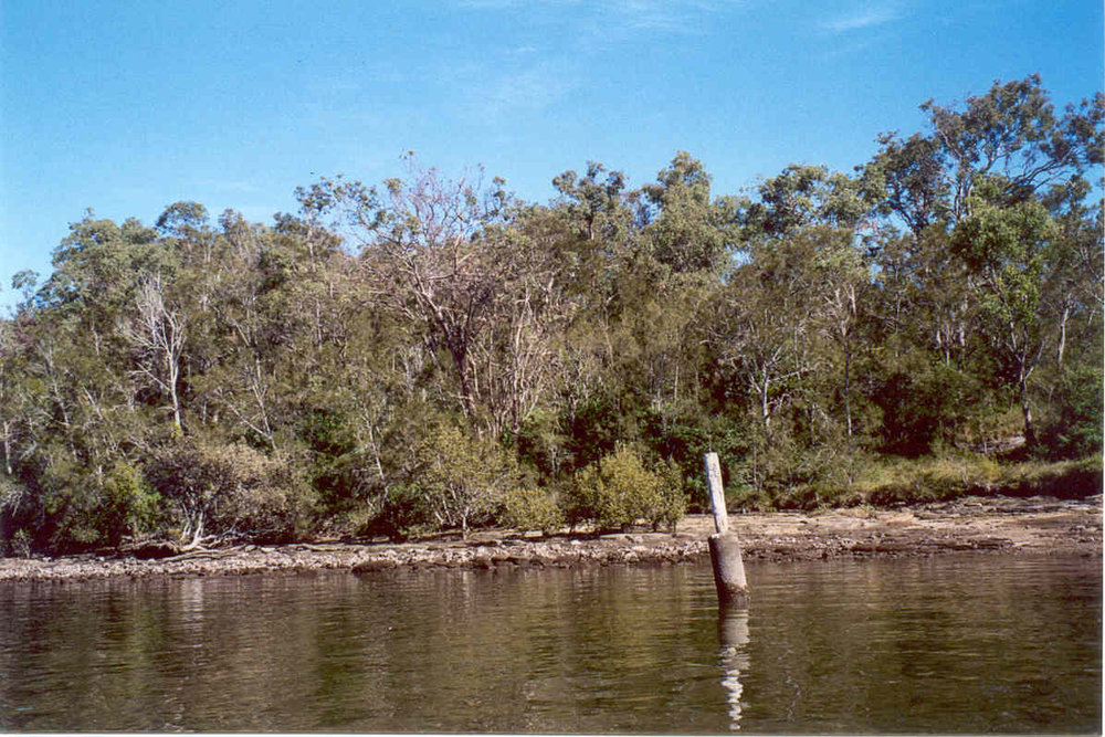 Bar Island