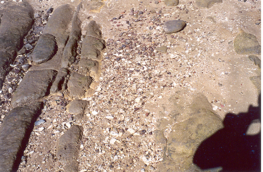 Aboriginal midden on Bar Island