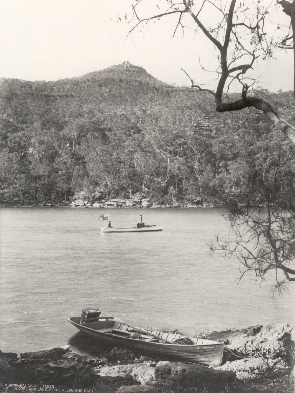 Ku-ring-gai Chase Trust's launch on Coal and Candle Creek