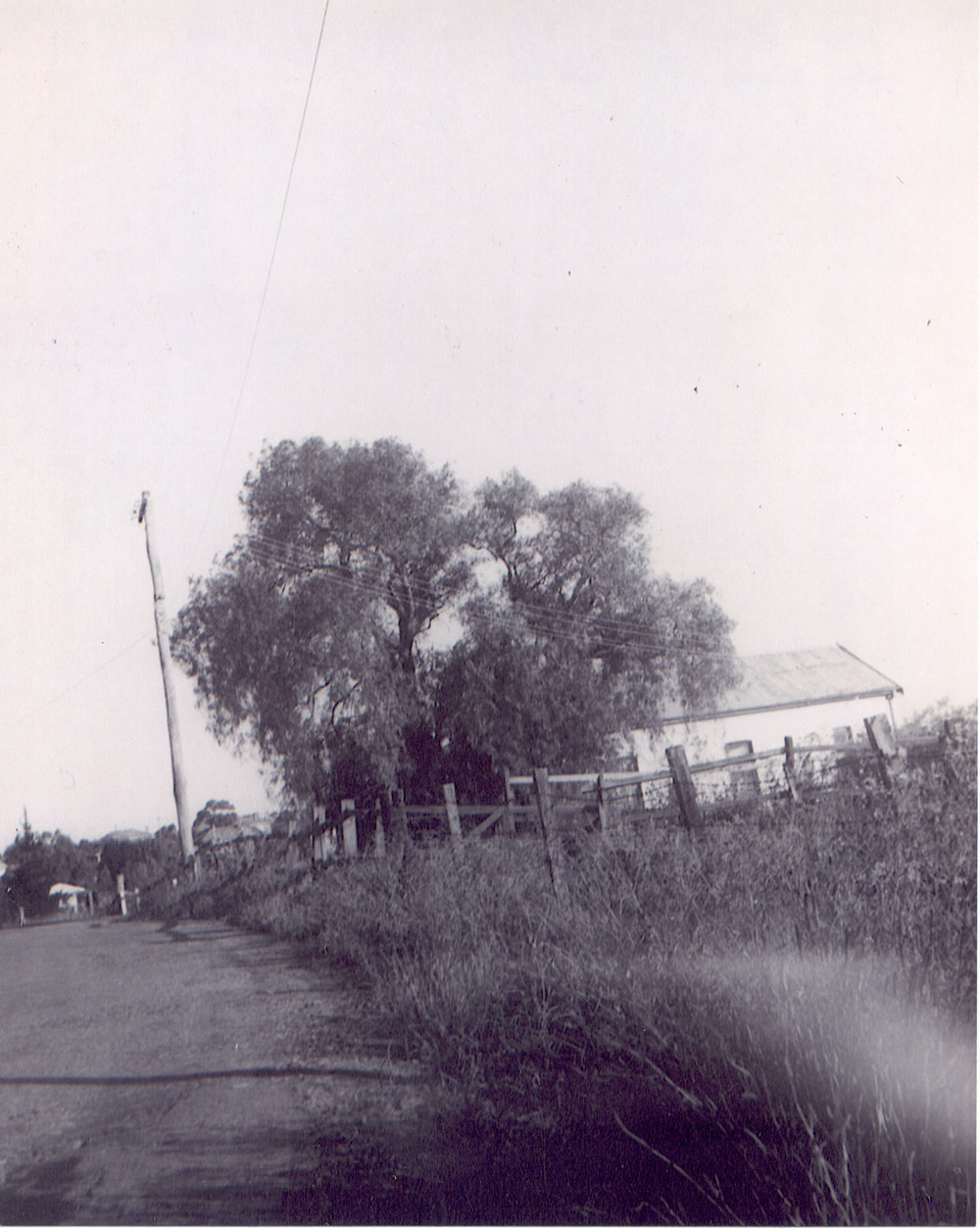 Joseph Patterson's House (south side), Duffy Avenue, Thornleigh