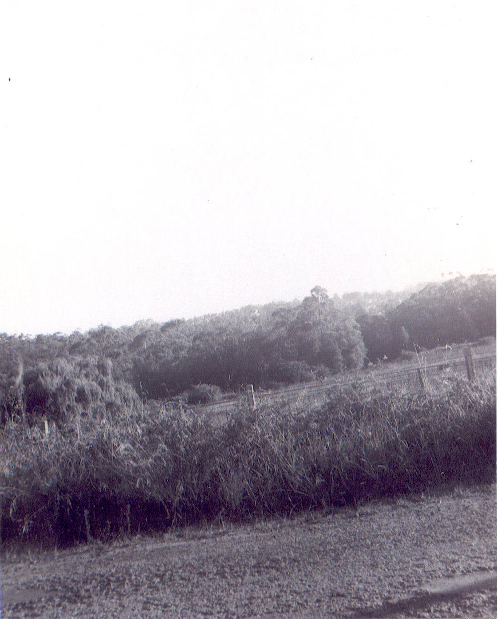 Duffy Avenue, Thornleigh, looking south