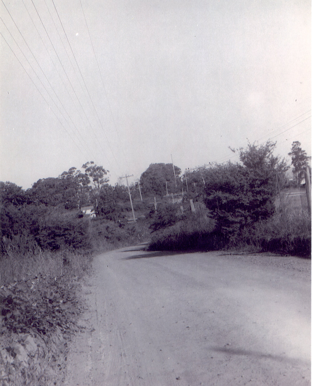 Duffy Avenue, Thornleigh, looking west