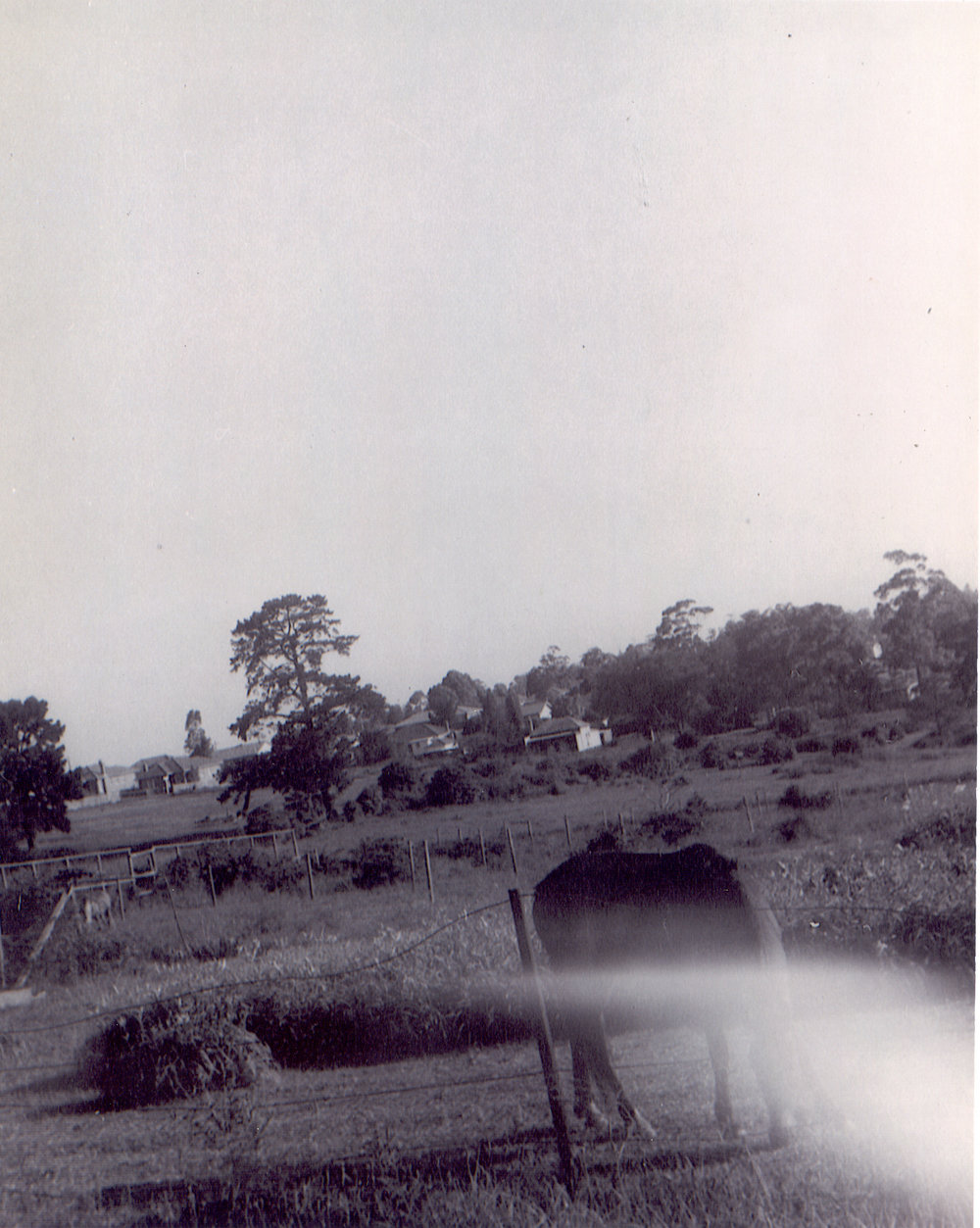 Duffy Avenue looking south towards Nicholson Avenue, Thornleigh