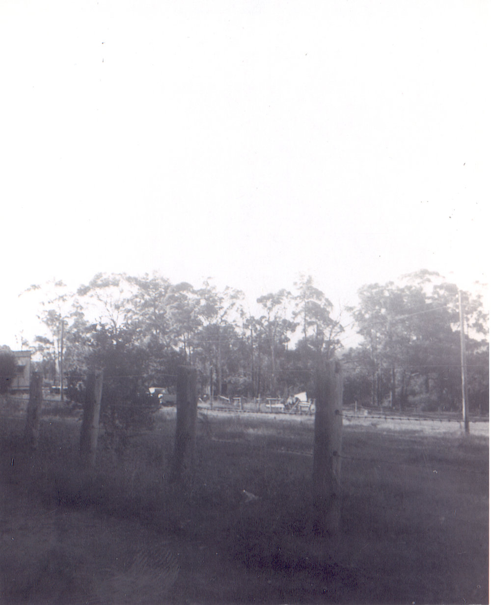 South side of Duffy Avenue, Thornleigh, east of Quarter Sessions Road