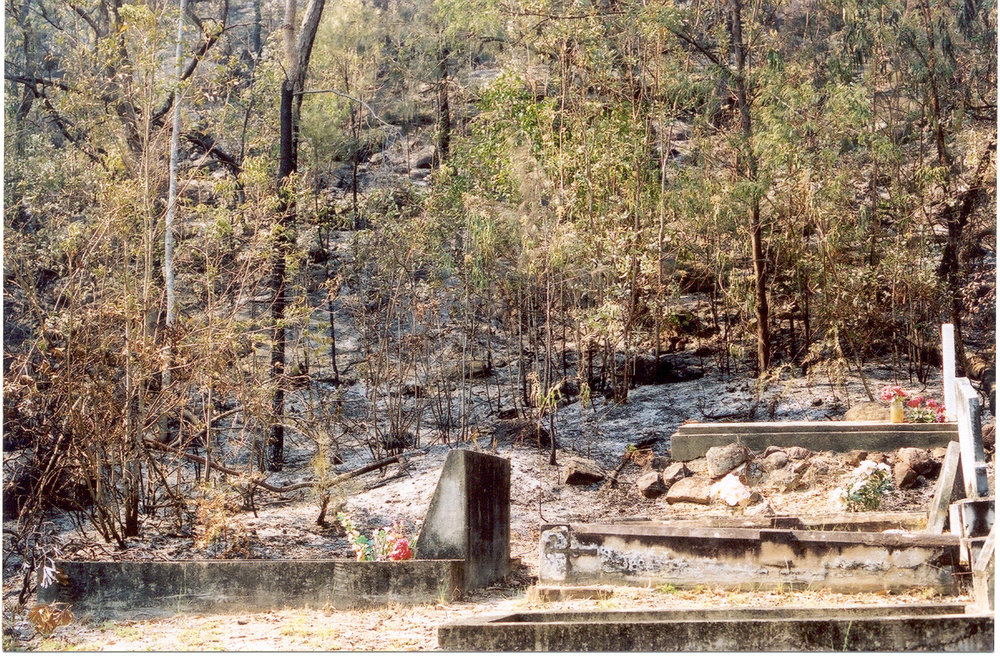 Wisemans Ferry Cemetery after the bushfire, December 2002