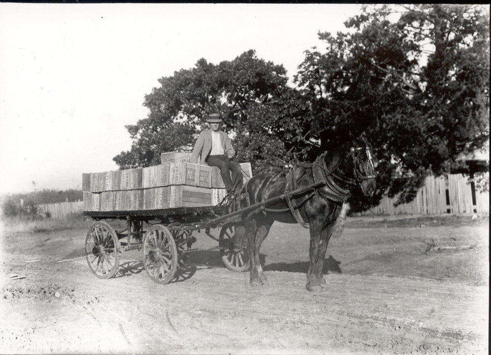 Franks' Orchard, Carlingford