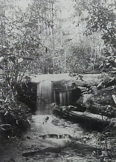 Upper Falls, Beecroft