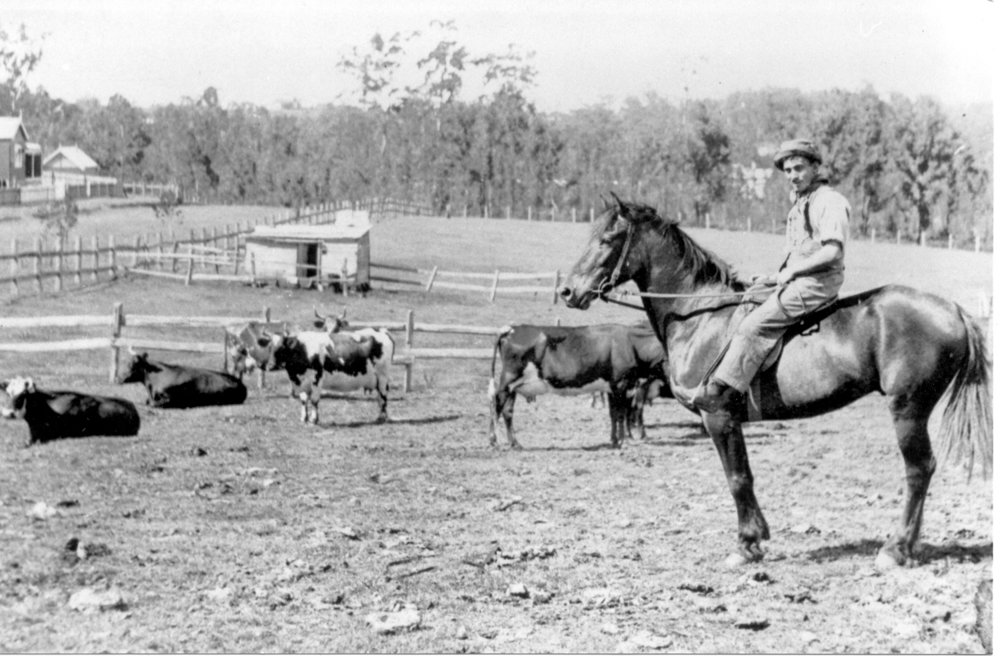 Allan James' dairy farm, Yardley and Clarke Roads, Waitara