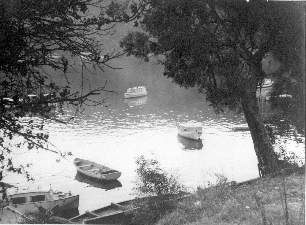 Berowra Waters, near the punt