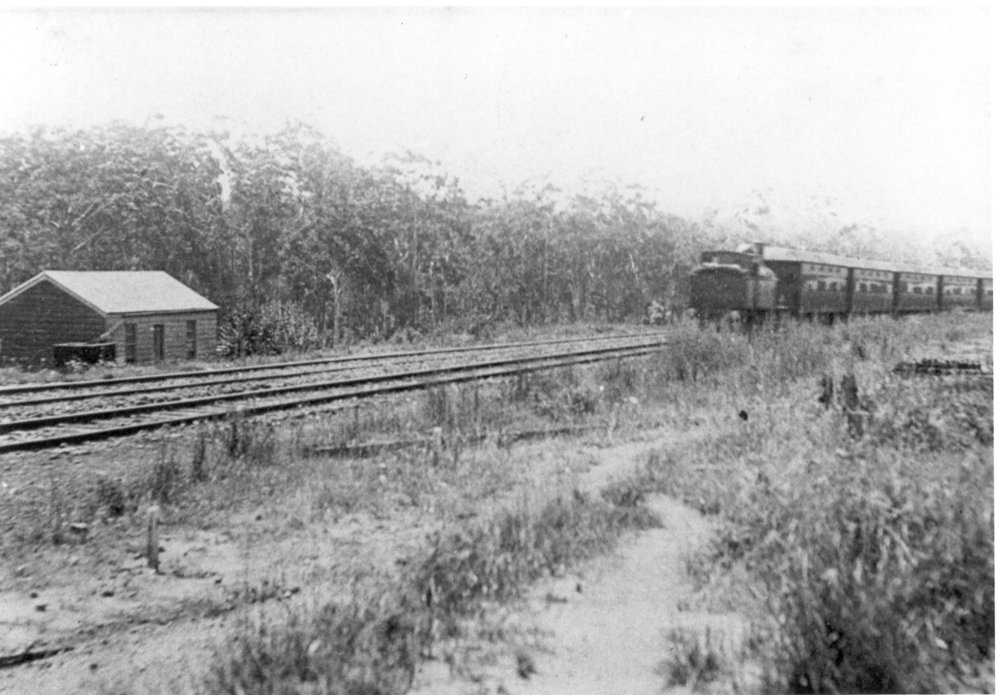 Northern approach to Epping Railway Station, c. 1910